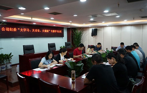 以“大學習、大討論、大調(diào)研”為動力推動公司紀檢監(jiān)察工作扎實開展